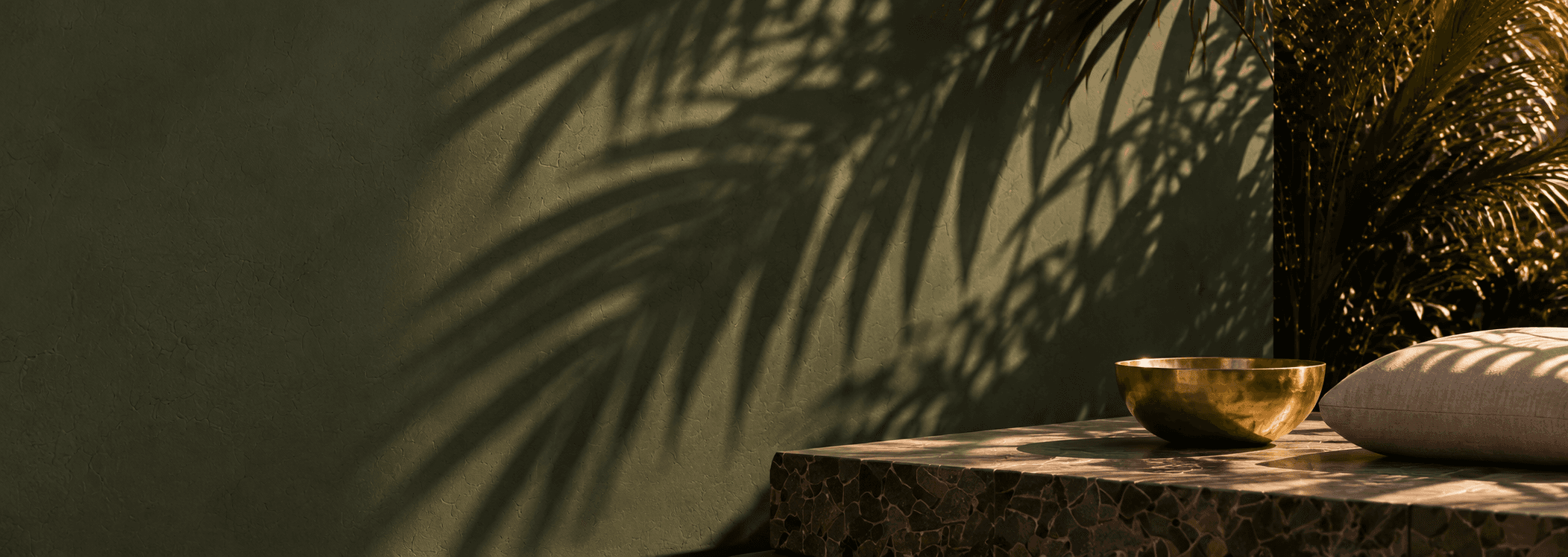 Olive green wall with palm shadows and a stone bench in Tulum